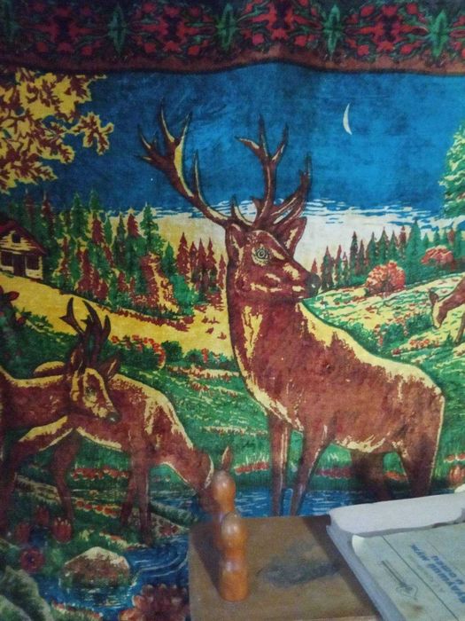 Покривало на диван.Коврики.