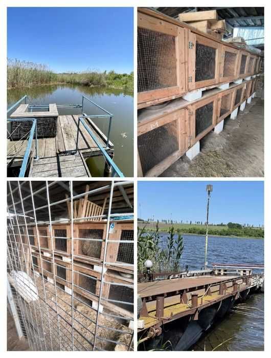 Шикарный дом со своим дендропарком и пляжем. База отдыха