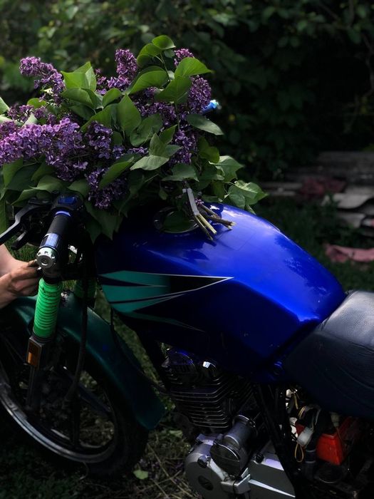 Viper zs 125j на ходу