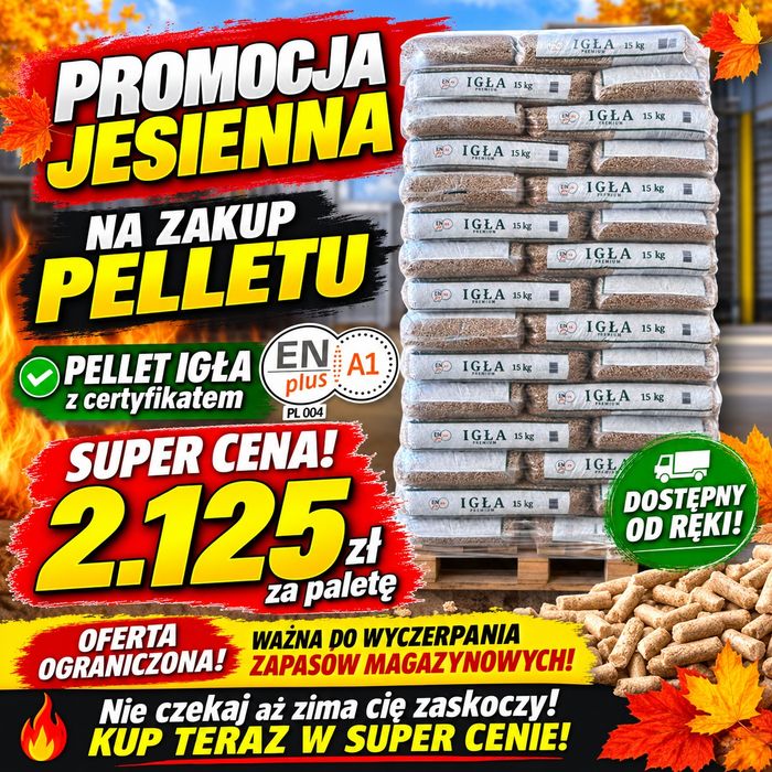 PELLET Drzewny 6mm Certyfikowany ENplusA1 Gold Igła Olczyk Rurex