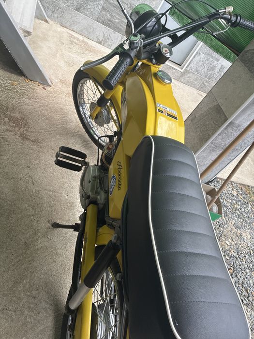 Sachs andorinha amarela