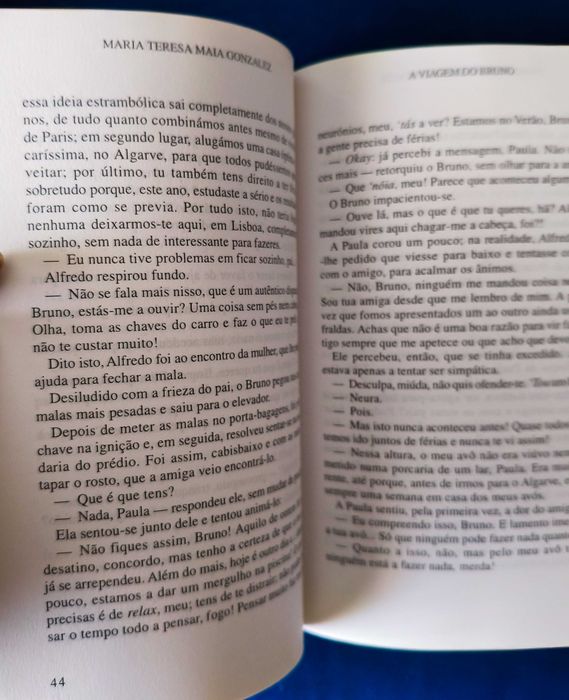 Livro A Viagem do Bruno - Maria Teresa Maia Gonzalez (Editora Difel)