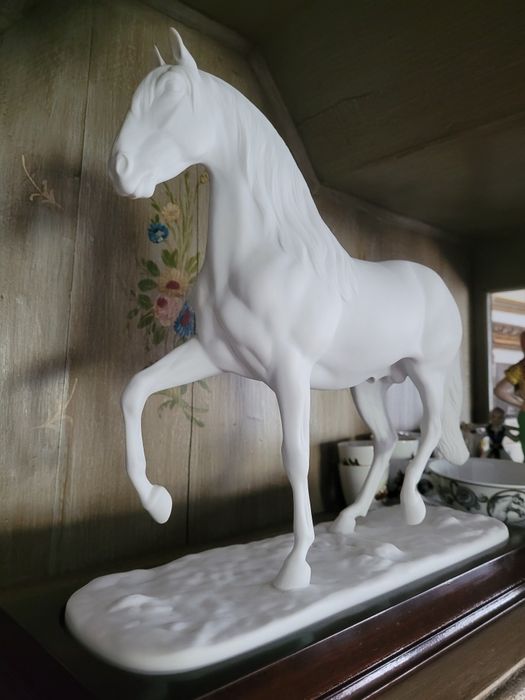 Cavalo Lusitano Vista Alegre