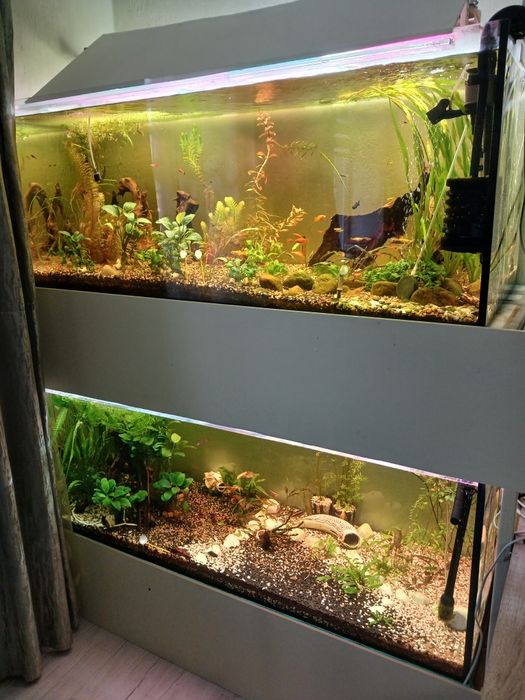 2 акваріума по 460 літрів, з стілажем.