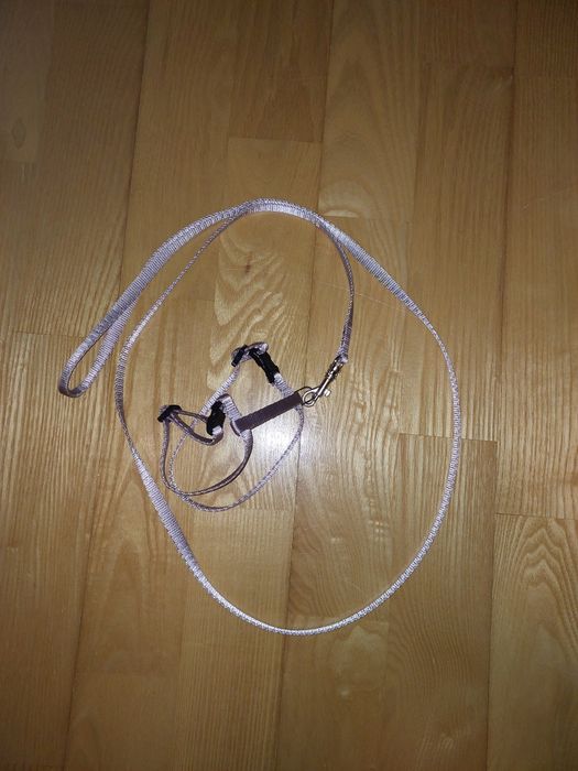 Szelki dla kota/królika