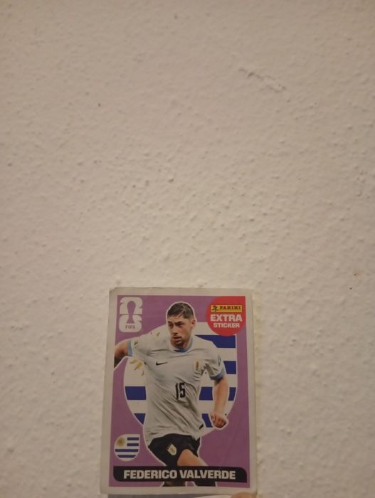 Frederico Valverde roxo