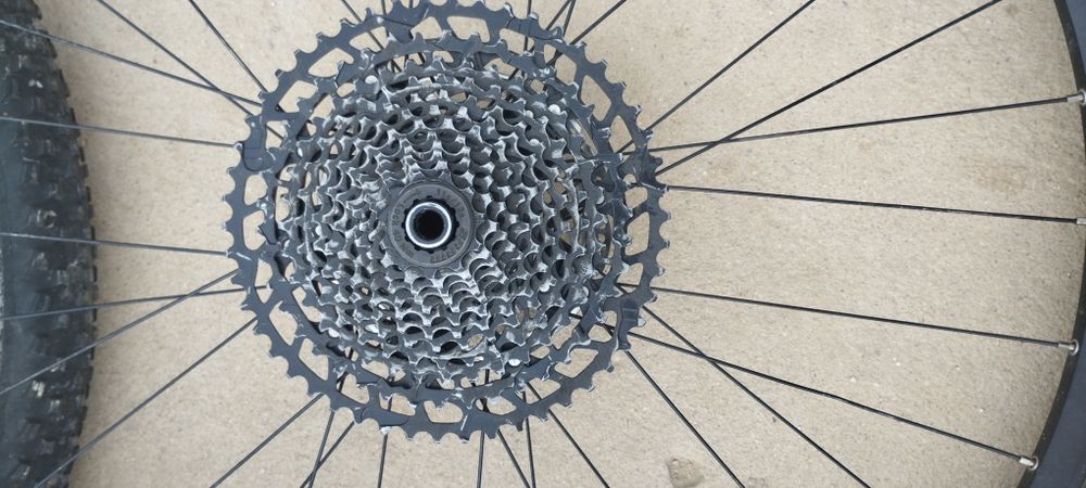 Rodas 29er DT Swiss 2.9 MA