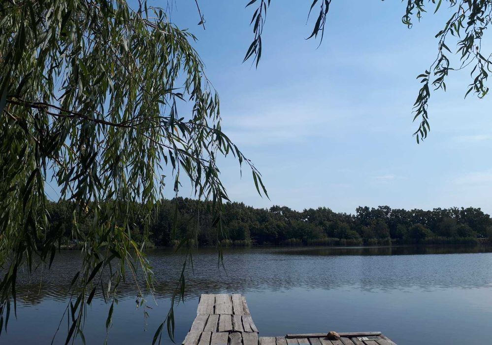 Продам дом в живописном месте вблизи озера пригород Одессы.