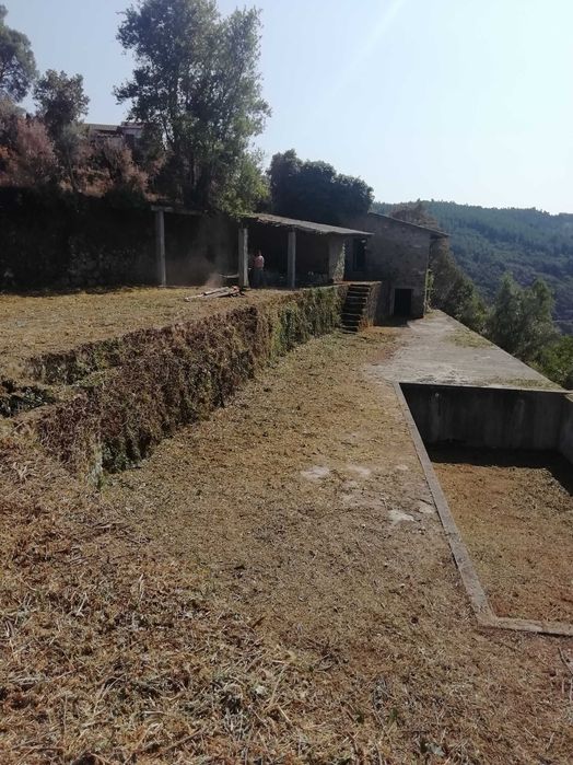 Limpeza de terrenos, matos jardins e outros afins