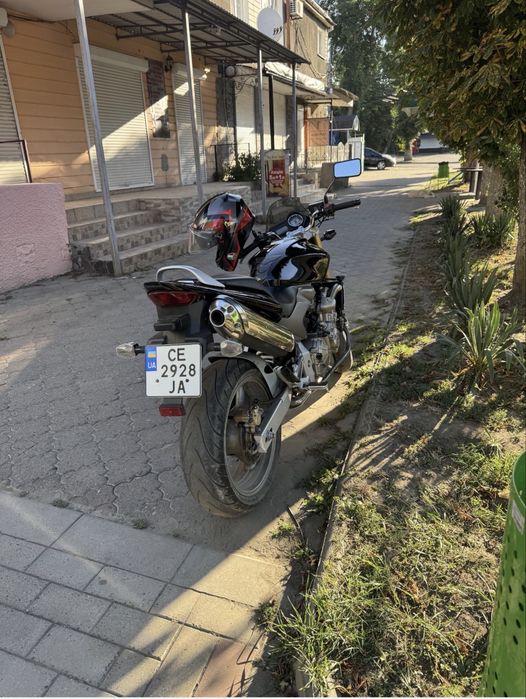 Honda cb600 hornet