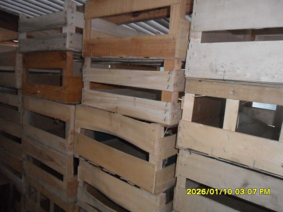 skrzynki drewniane po owocach