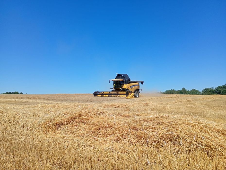 Usługi rolnicze kompleksowo Wszystko na RTk z dokładnością do 2 cm.