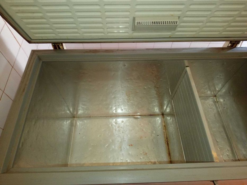 Lote de Frio: Arca Grande Bauknecht 305L + Frigorífico Snowcap (A Funcionar)
