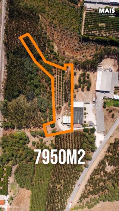 Terreno com 7950m2, perto das praias da Nazaré e São Martinho do Porto