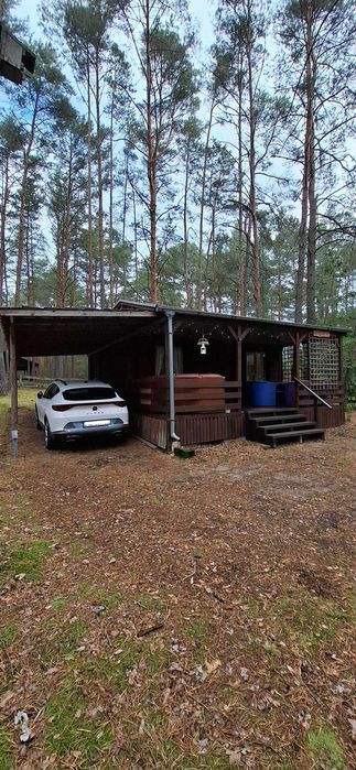 Dom – Chojno-Młyn - Widok 2