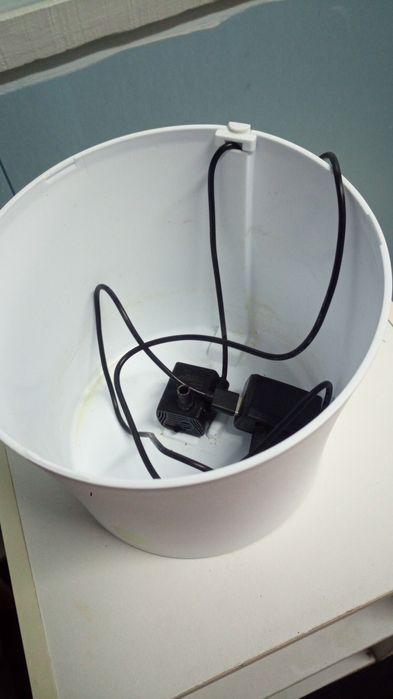 Bebedouro para gatos