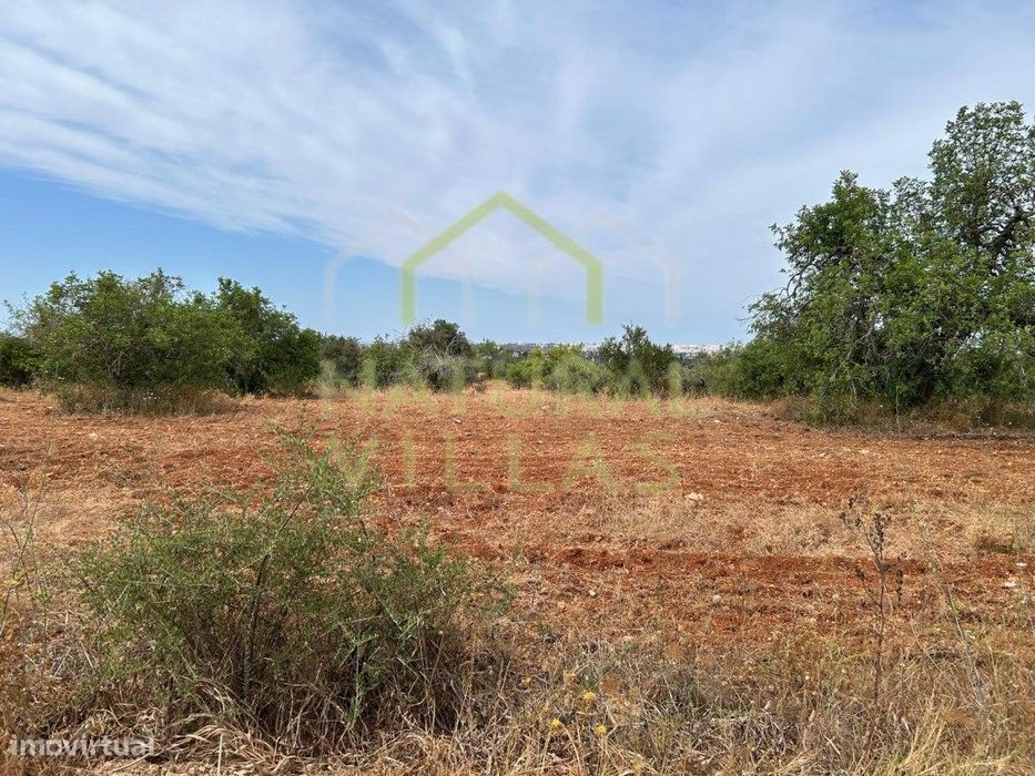 Terreno Rústico Plano com Vista Mar em Conceição