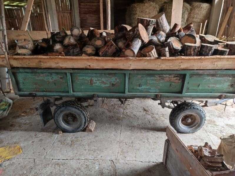 Drzewo opałowe w kankach