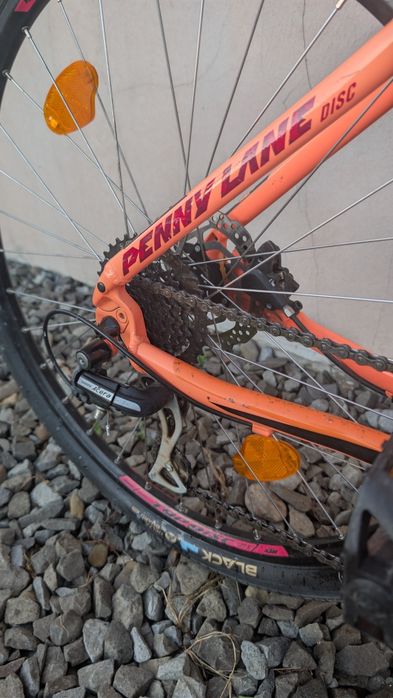 KTM Penny Lane Disc