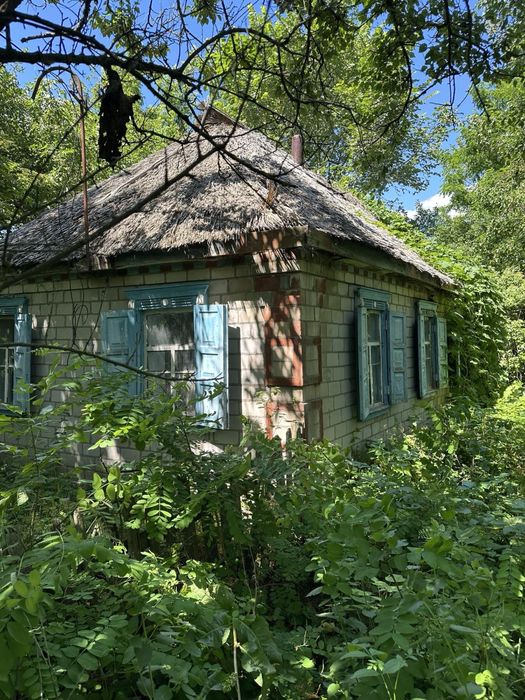 Продаж будинка в селі Радочини. 32 соткі. Кременчуцький район.