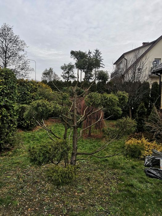 Pielegnacja ogrodów