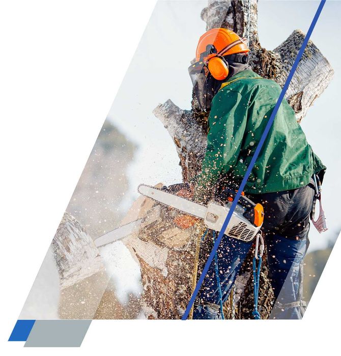 Prace wysokościowe - czyszczenie hal, dachów, okien, wycinka drzew