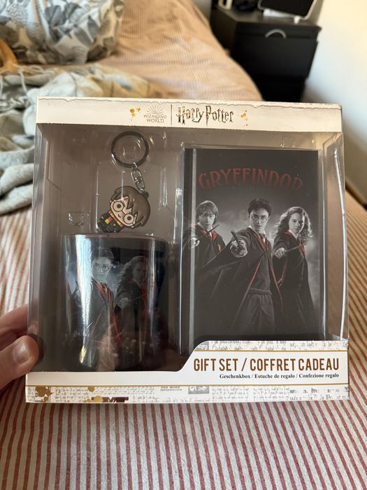 Conjunto harry potter