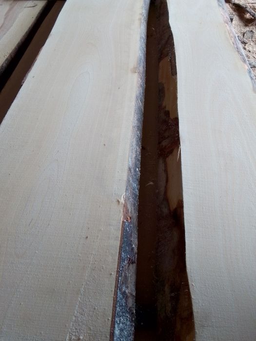 Tarcica foszty deski bukowe dębowe