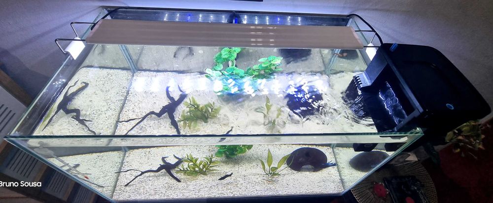 Aquário 70 litros