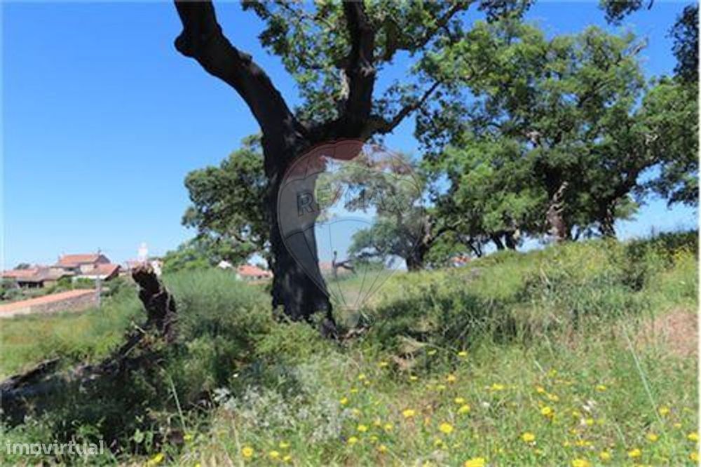 Quinta T0 para venda — Penamacor, Castelo Branco