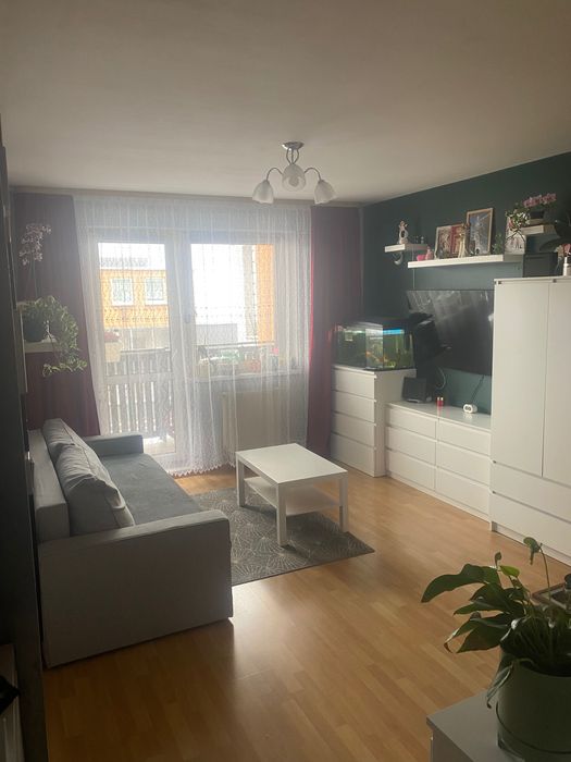 2 Pokojowe Mieszkanie Ząbki