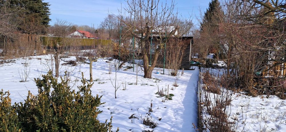 Działka ogrodnicza Puławy ROD Zacisze