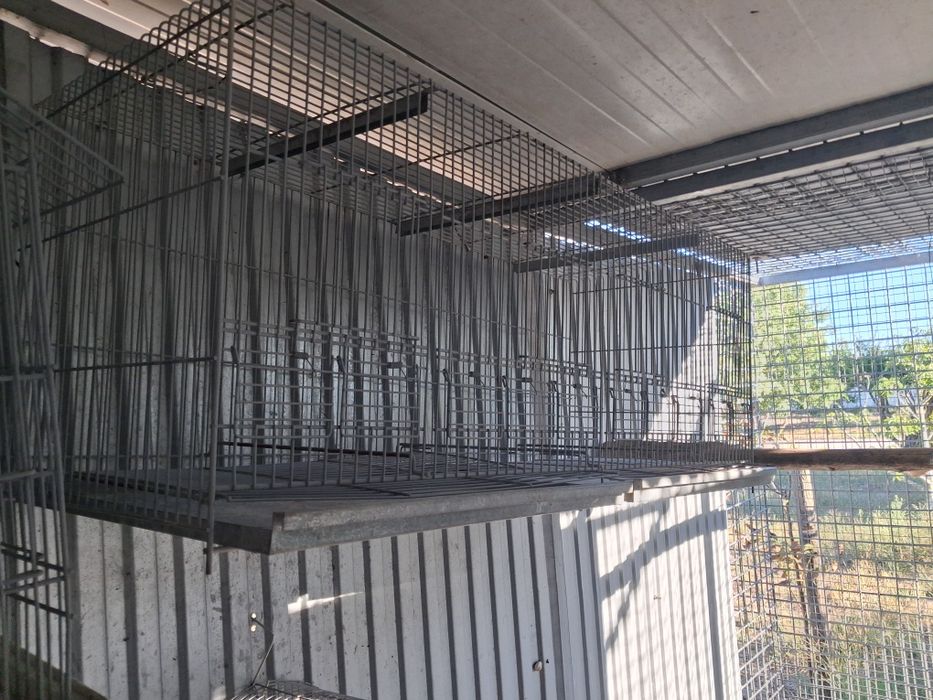 Gaiolas aves pequenas  e papagaios