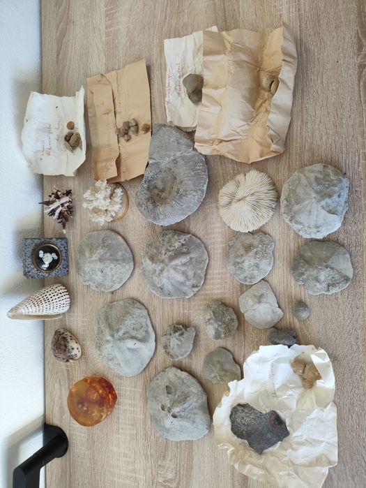 Rochas, Minerais e Fosseis Lote Não Catalogado