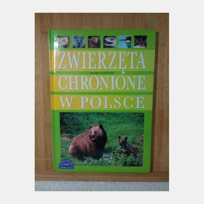 Zwierzęta chronione w Polsce.