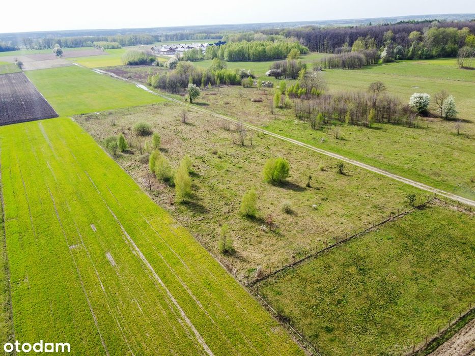 Działka budowlana 3000 m²  w spokojnej wsi Budy Ciepielińskie – pohled 3