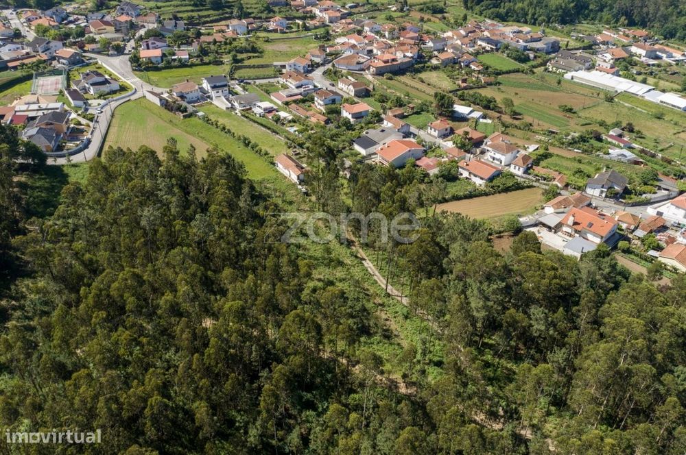 Terreno urbano em Caldas de São Jorge - Área de 3.462 m2
