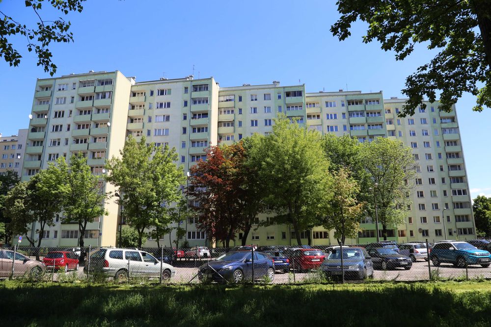 Zdjęcie 7