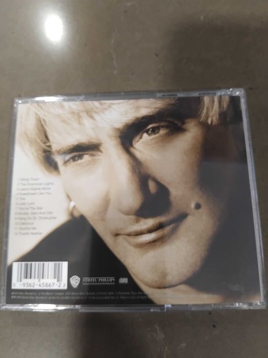 Rod stewart A Spanner in the works em cd