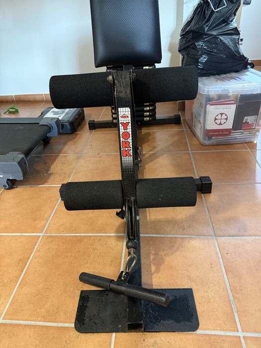 Muscle Training Machine425519760383027203