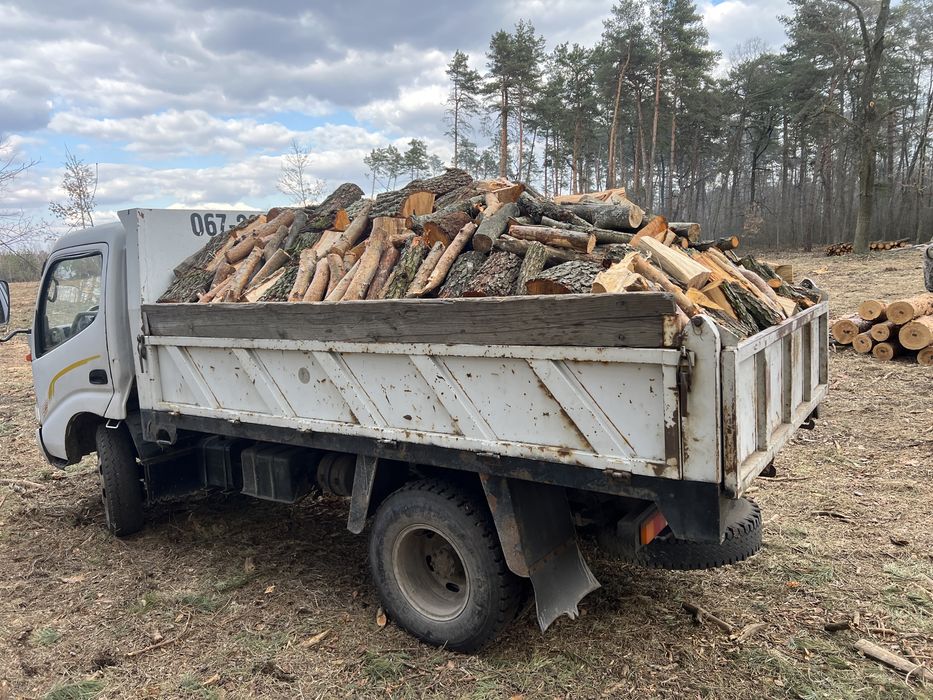 Дрова дешево от 2000 грн./метр