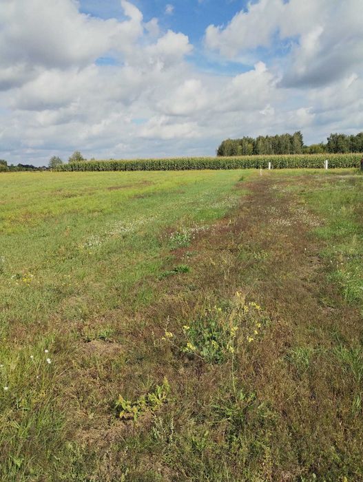 Sprzedam działki budowlane z warunkami zabudowy w gminie Teresin