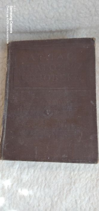 Атлас анатомии человека.  Воробьёв.  Синельников.