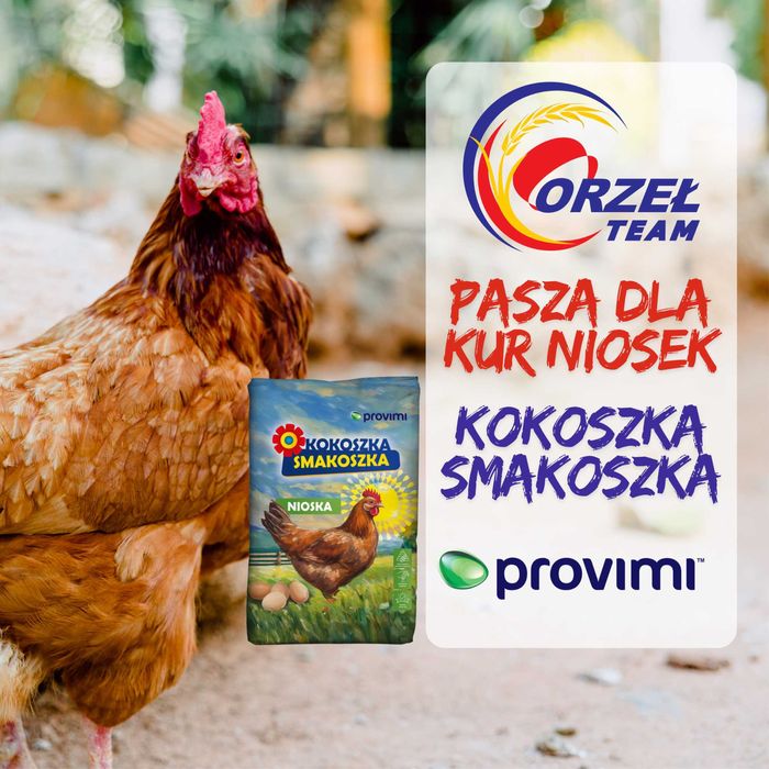 Pasza dla kur Kokoszka Smakoszka, brojler, kurczęta, kaczka i gęś