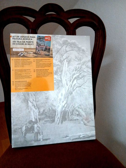 Conjunto de Tela e Tintas Acrílicas