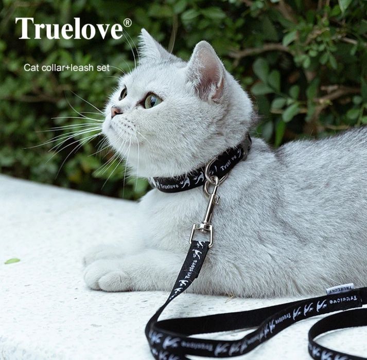 Ошейник с поводком для котов truelove