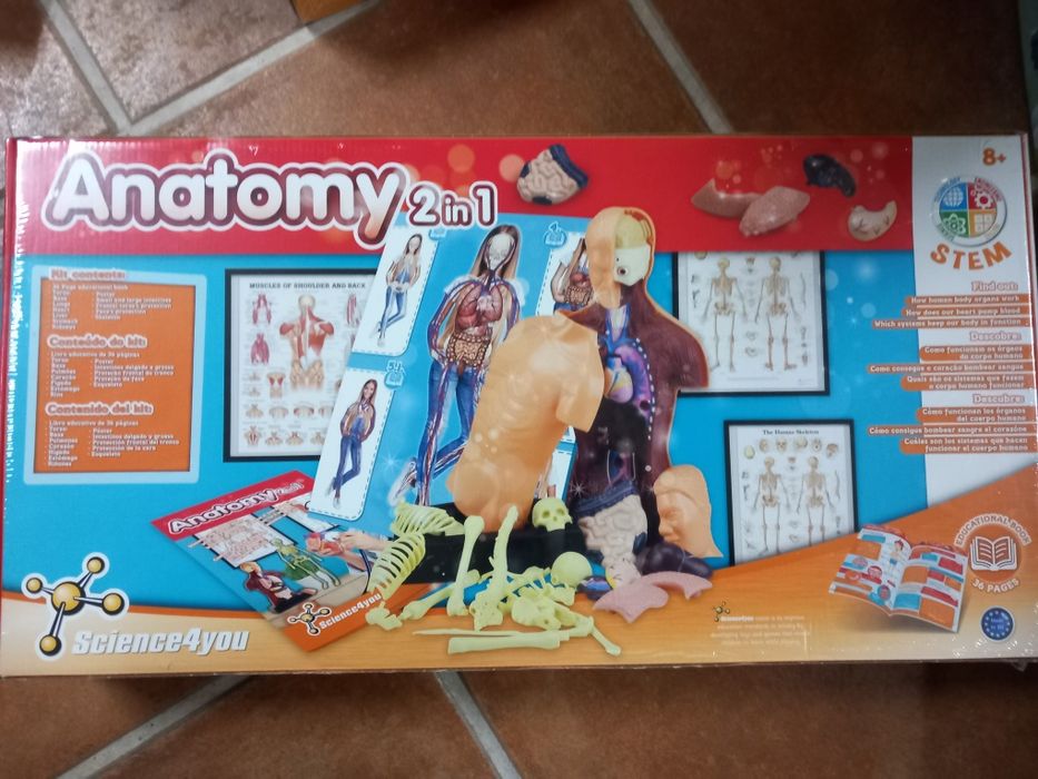 Jogo Anatomy 2in1 science4you