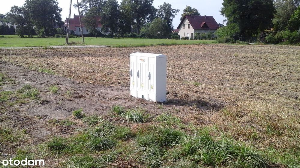 Zdjęcie 6