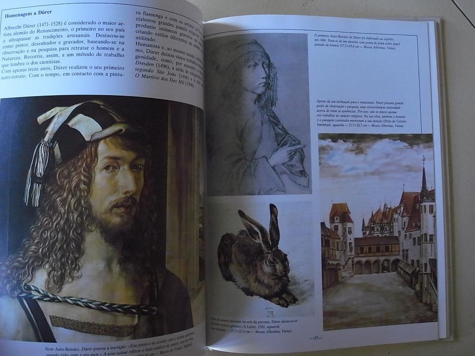 livro pintura tecnica dos grandes artistas o processo criativo