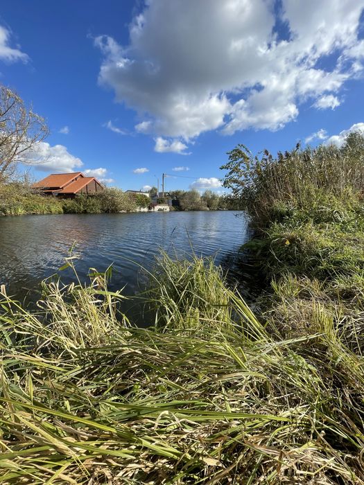 Земельна ділянка